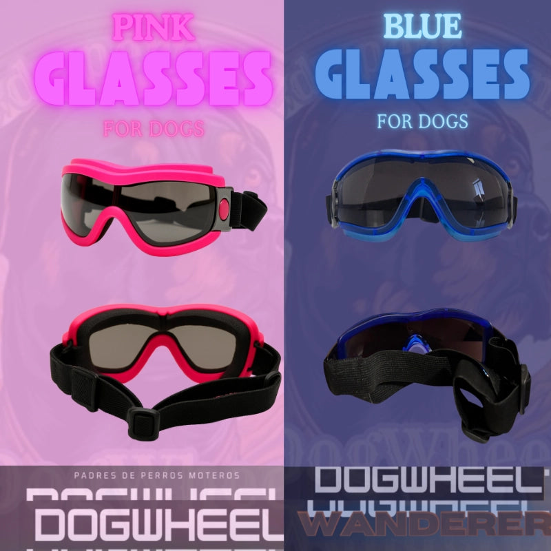 Dogwheel Rider Goggles