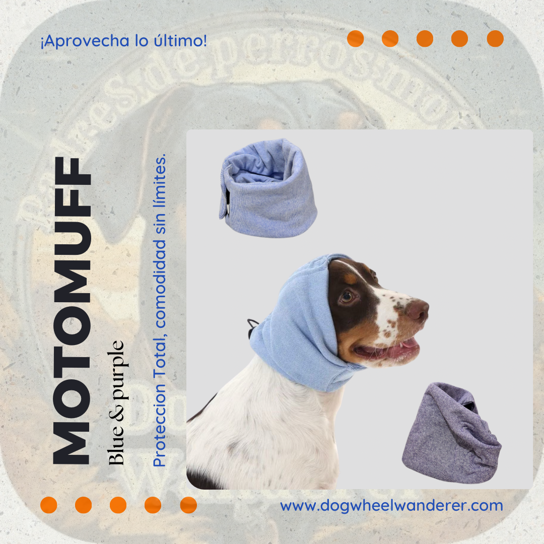 🐾 MotoMuff™ – Cubreorejas para Perros Aventureros
