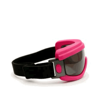 Dogwheel Rider Goggles