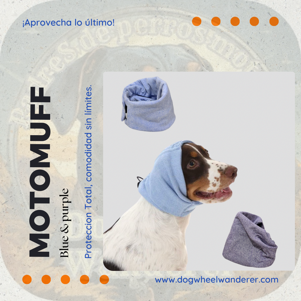 🐾 MotoMuff™ – Cubreorejas para Perros Aventureros