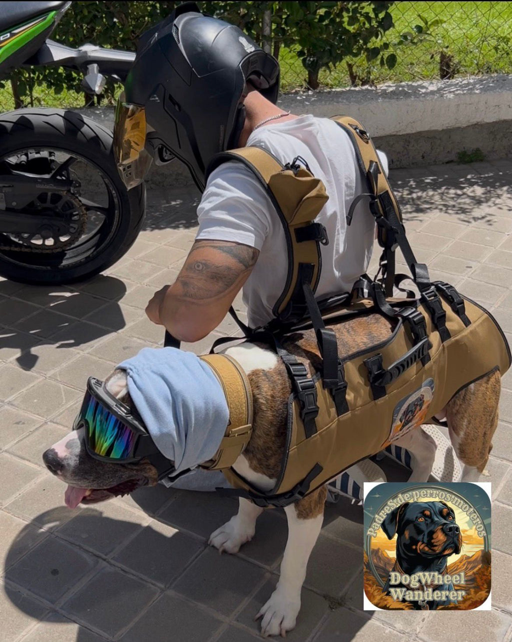 Mochila Dogwheelwanderer