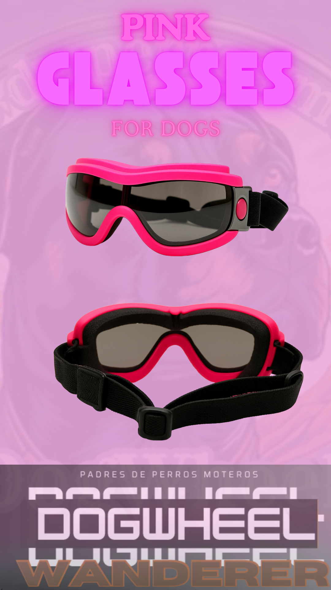 Dogwheel Rider Goggles