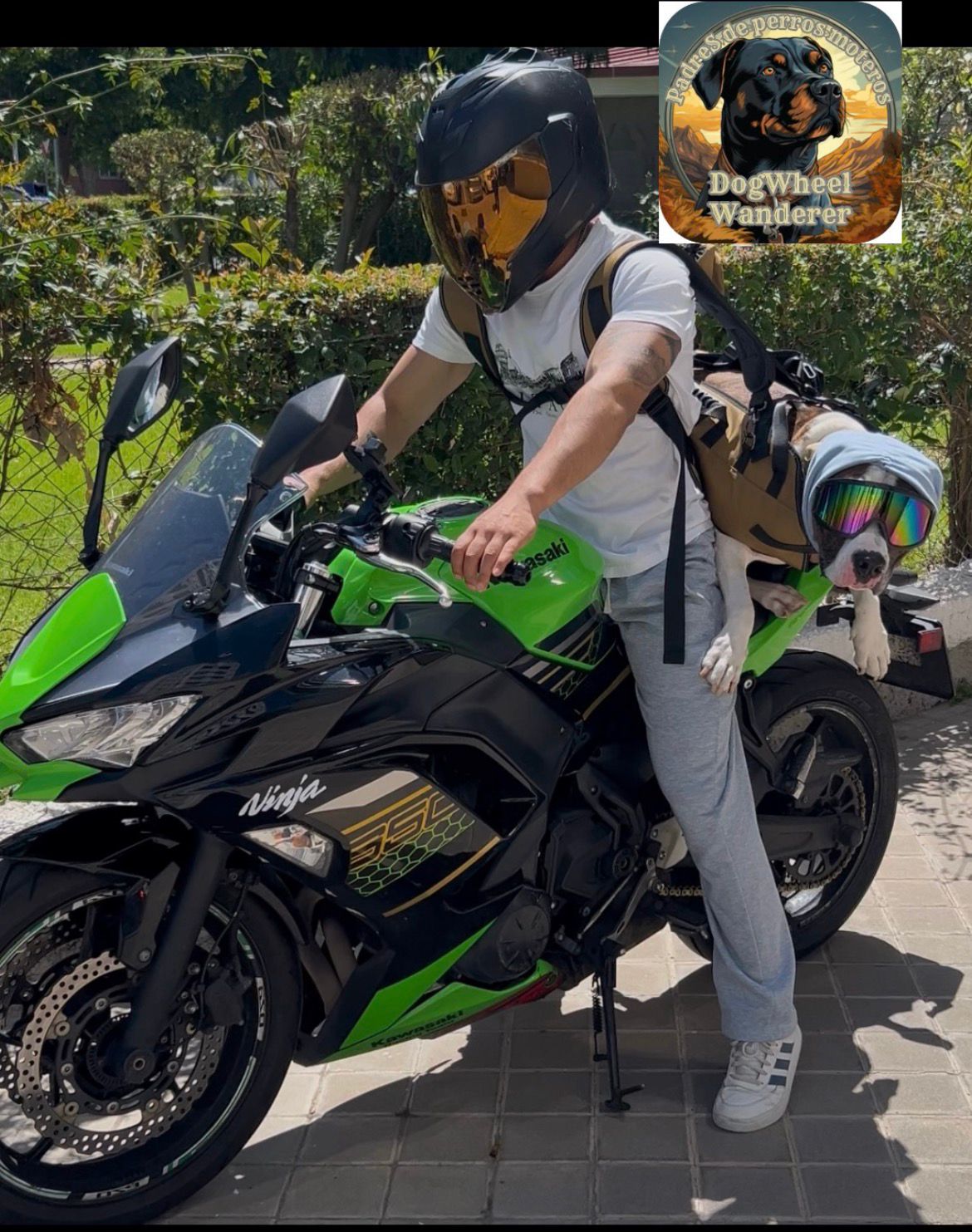 Mochila Dogwheelwanderer
